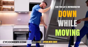 Can You Lay a Refrigerator Down While Moving? Expert Tips