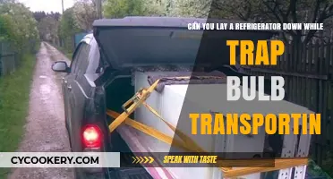 Laying Down a Refrigerator During Transport: Safe or Risky?