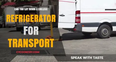 Can You Lay Down a College Refrigerator for Transport? Tips and Risks