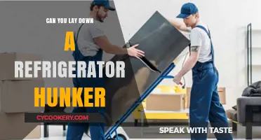 Laying Down a Refrigerator: Tips, Risks, and Best Practices for Hunkering