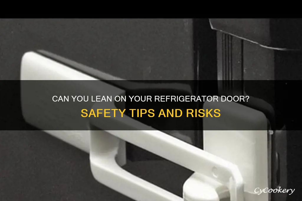 can you lean on your refrigerator door