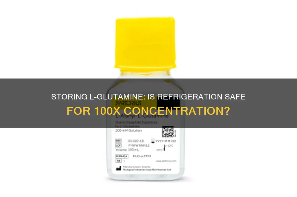 can you leave 100x l-glutamine in refrigerator