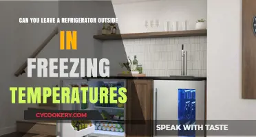 Can Refrigerators Stay Outside in Freezing Weather? Expert Advice