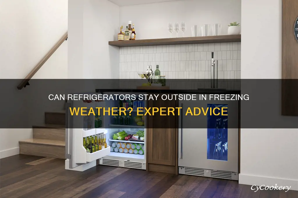can you leave a refrigerator outside in freezing temperatures