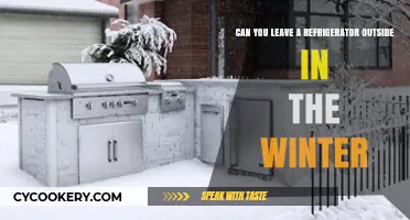 Winter Refrigerator Storage: Safe to Leave Outside in Cold Weather?