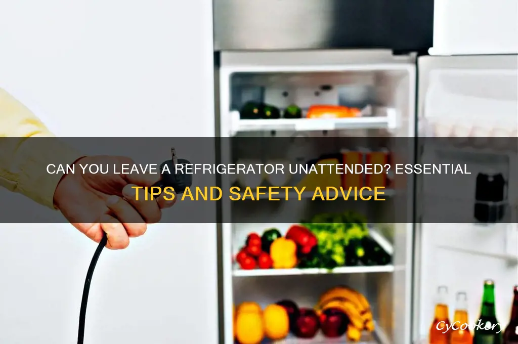 can you leave a refrigerator
