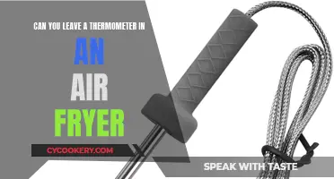 Air Fryer Thermometer: Safe or Not?