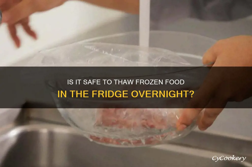 can you leave frozen food in refrigerator overnight