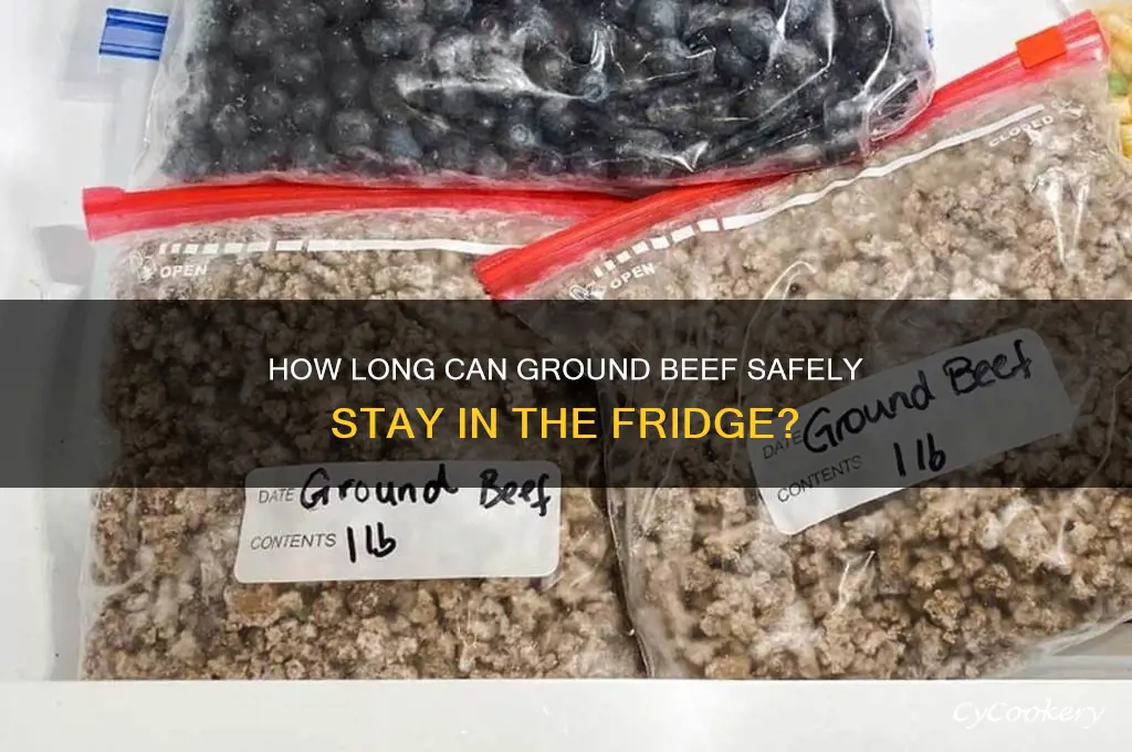 can you leave ground beef in the refrigerator