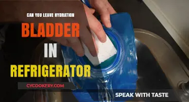 Chilling Your Hydration Bladder: Safe Refrigeration Tips for Fresh Water