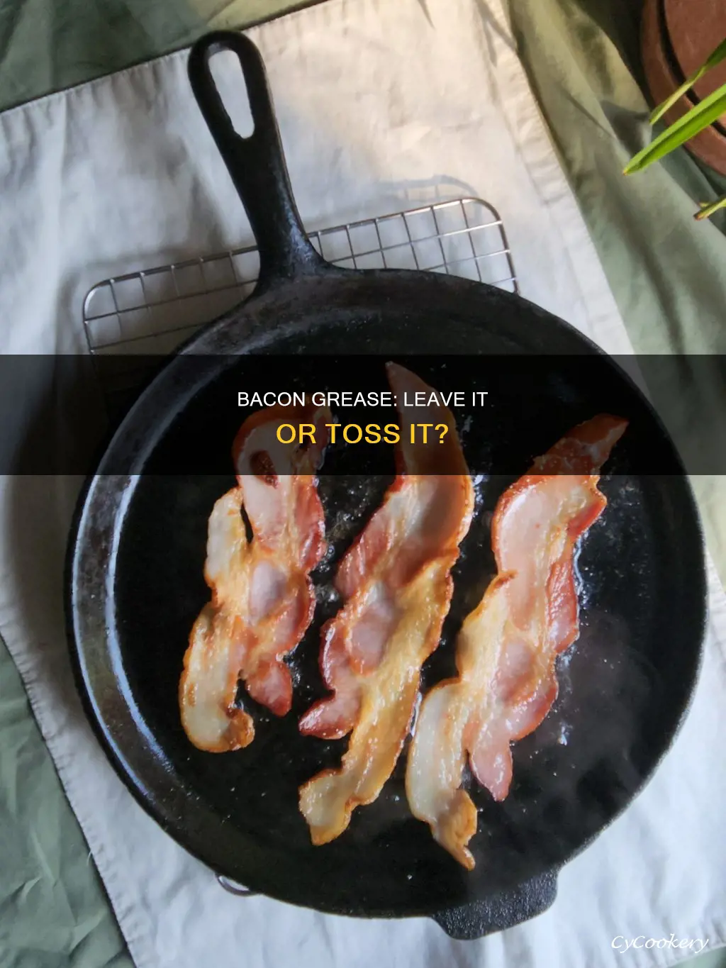can you leave leftover bacon grease in the pan covered