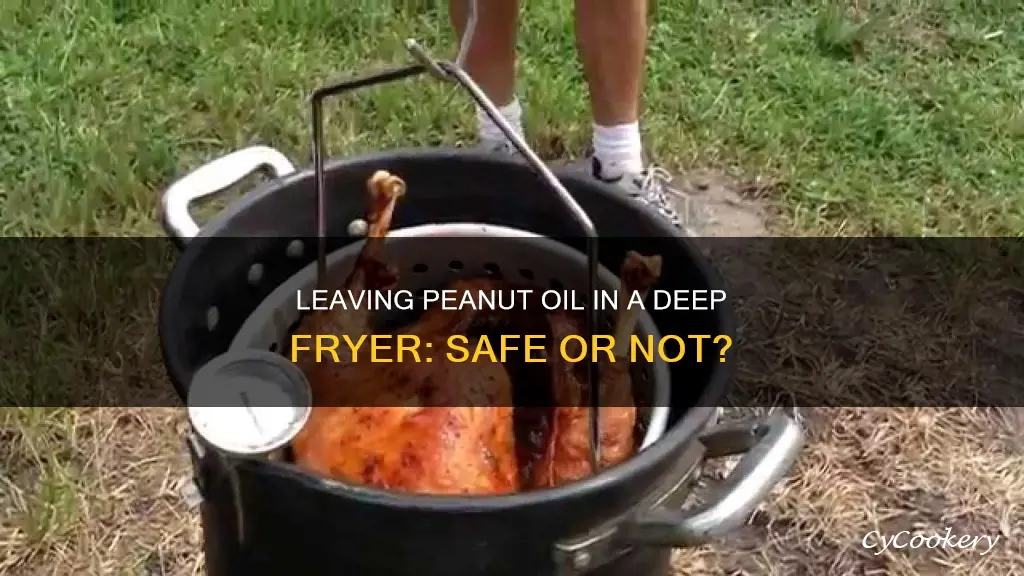 can you leave peanut oil in a deep fryer