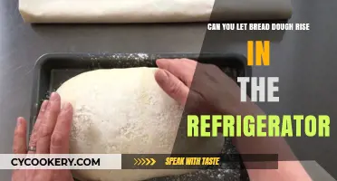 Refrigerator Rising: Chilling Bread Dough for Perfect Results