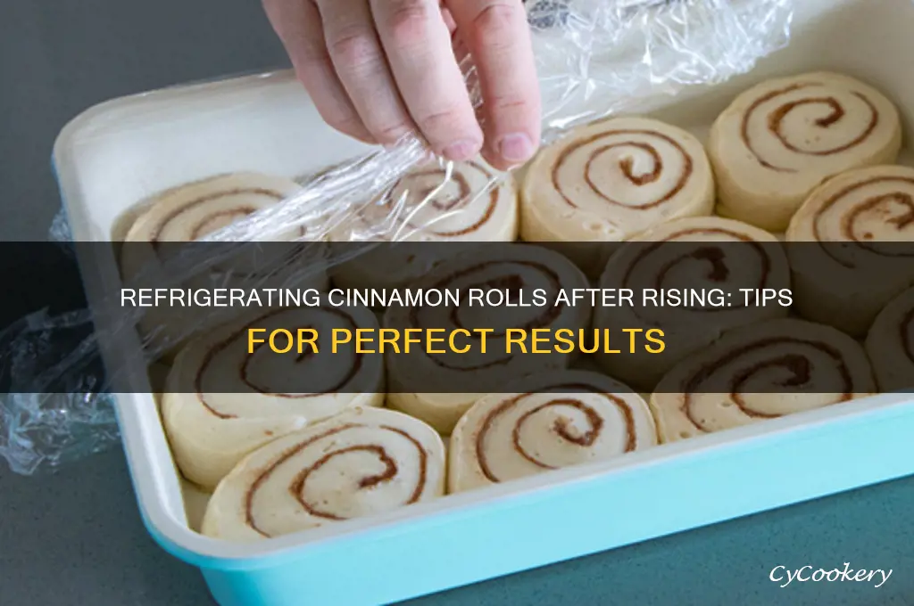 can you let cinnamon rolls rise and then refrigerate