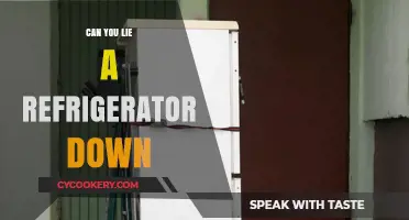 Can You Lie a Refrigerator Down? Tips and Risks Explained