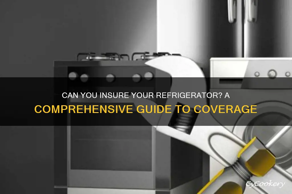 can you list a refrigerator on insurance
