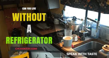 Living Without a Fridge: Is It Possible and How to Manage?