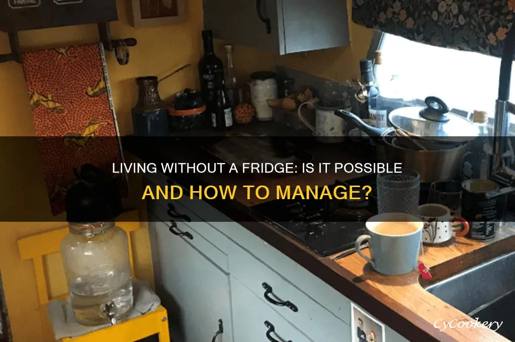 can you live without a refrigerator