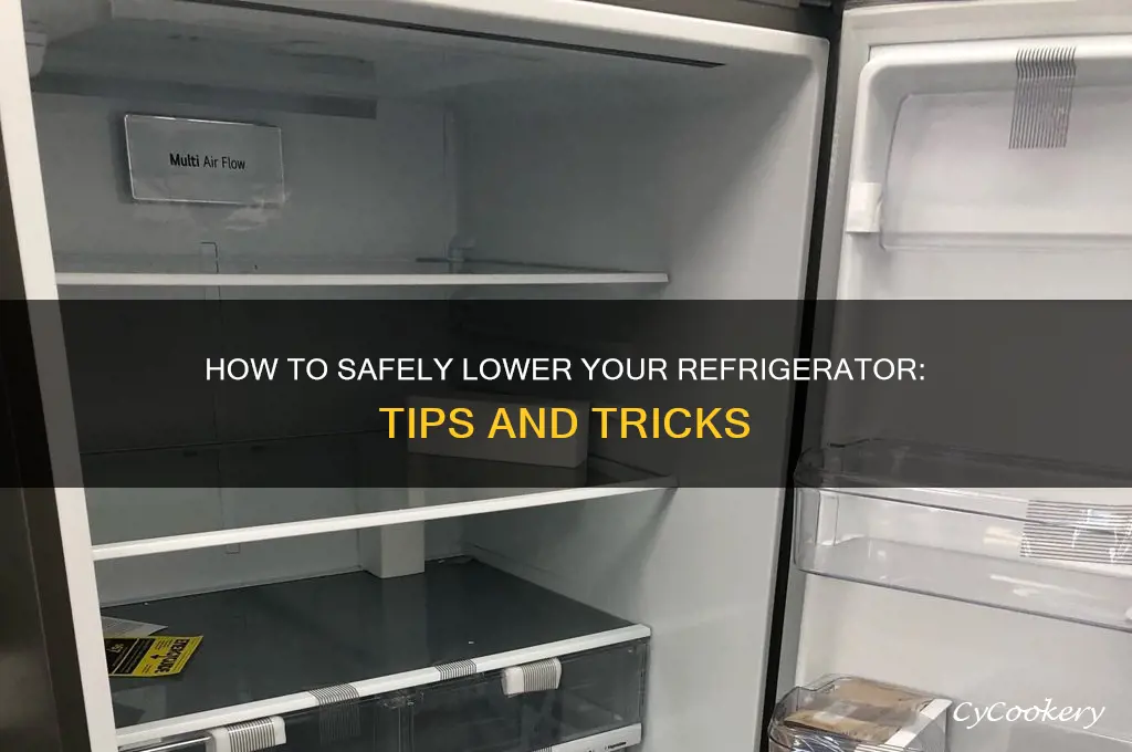 can you lower a refrigerator