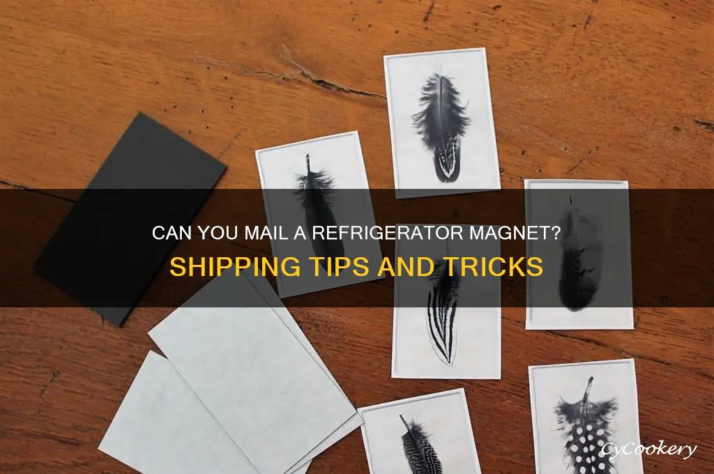 can you mail a refrigerator magnet