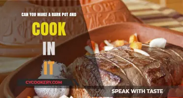 Making and Cooking in a Bark Pot