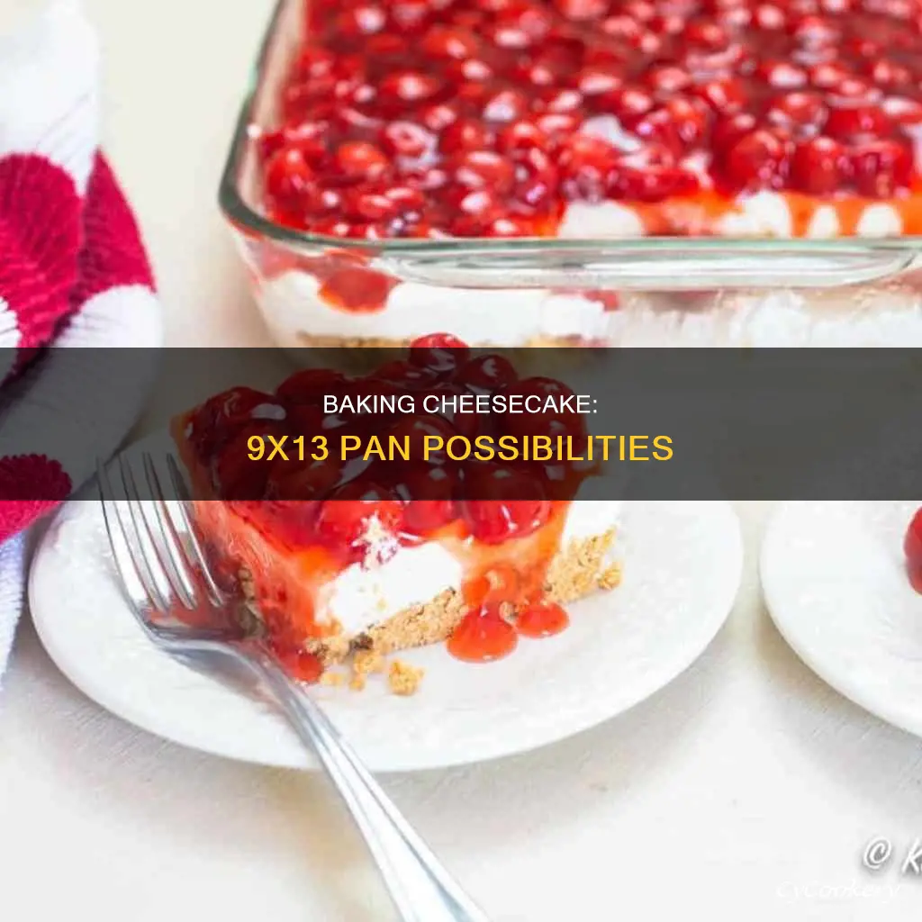 can you make a cheesecake in a 9x13 pan