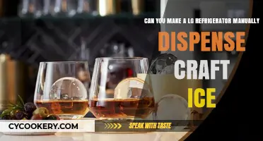 Manually Dispensing Craft Ice from Your LG Refrigerator: Is It Possible?