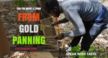 Gold Panning: A Viable Career Option?