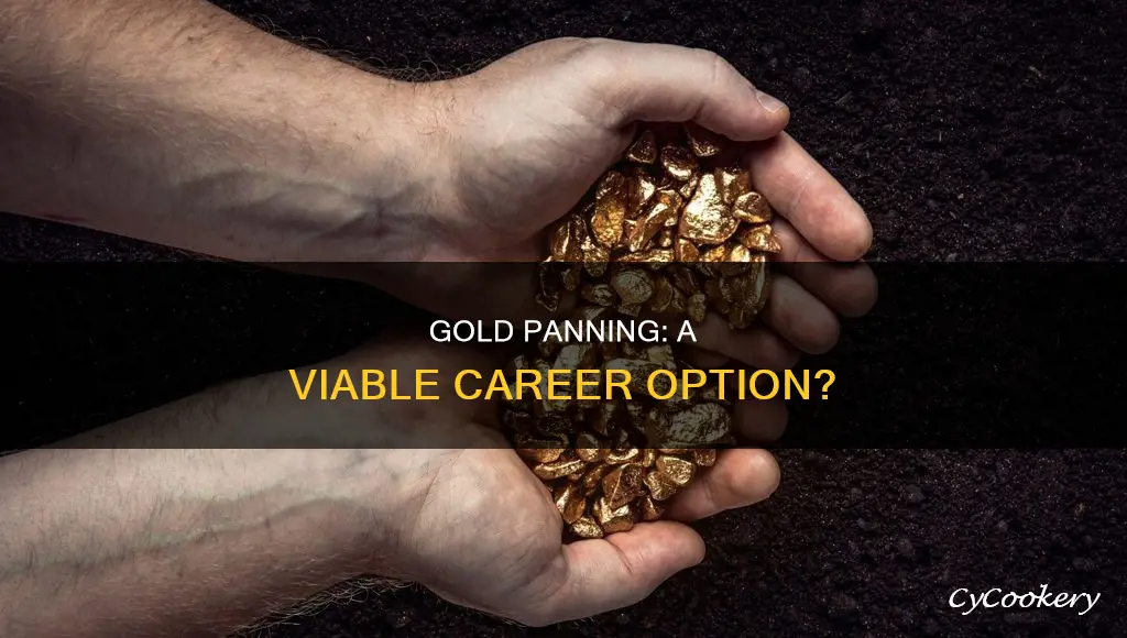 can you make a living from gold panning