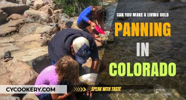 Gold Panning in Colorado: A Viable Career?