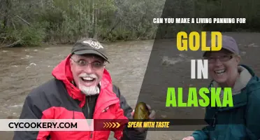 Panning for Gold in Alaska: A Living?