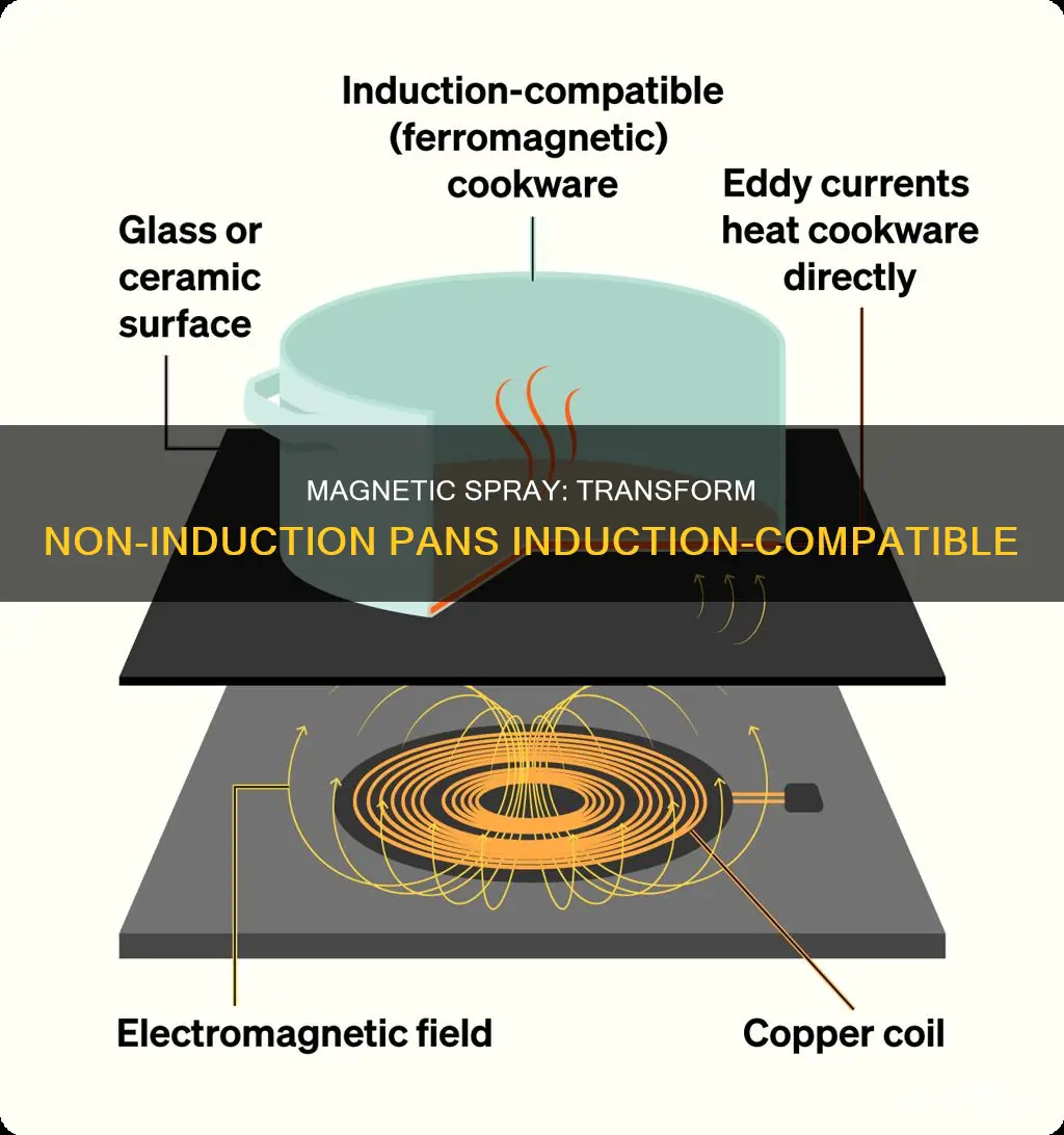 can you make a pan induction compatible with manetic spray