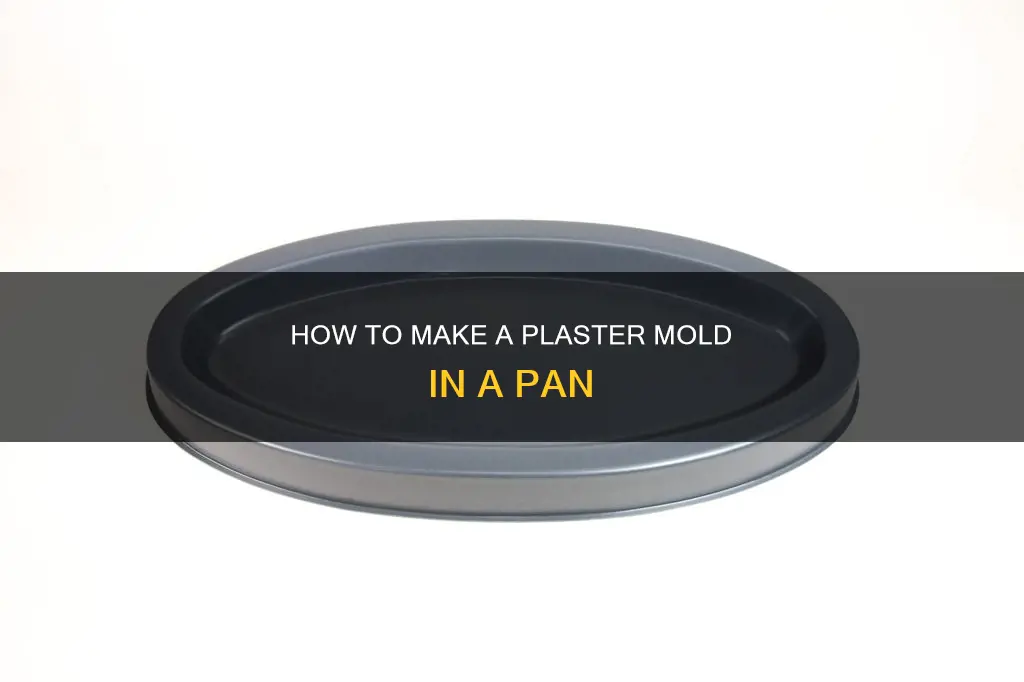 can you make a plaster mold in a pan