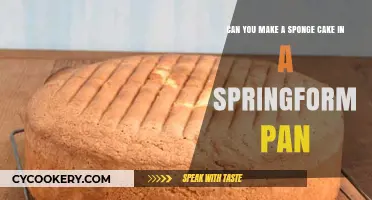 Springform Pan Sponge Cake: Is It Possible?