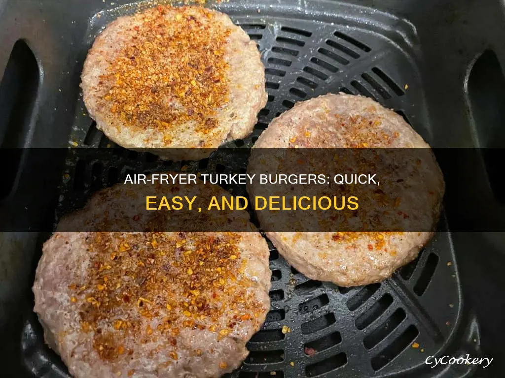 can you make a turkey burger in an air fryer