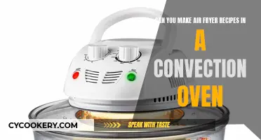 Air Fryer Recipes: Convection Oven Alternatives