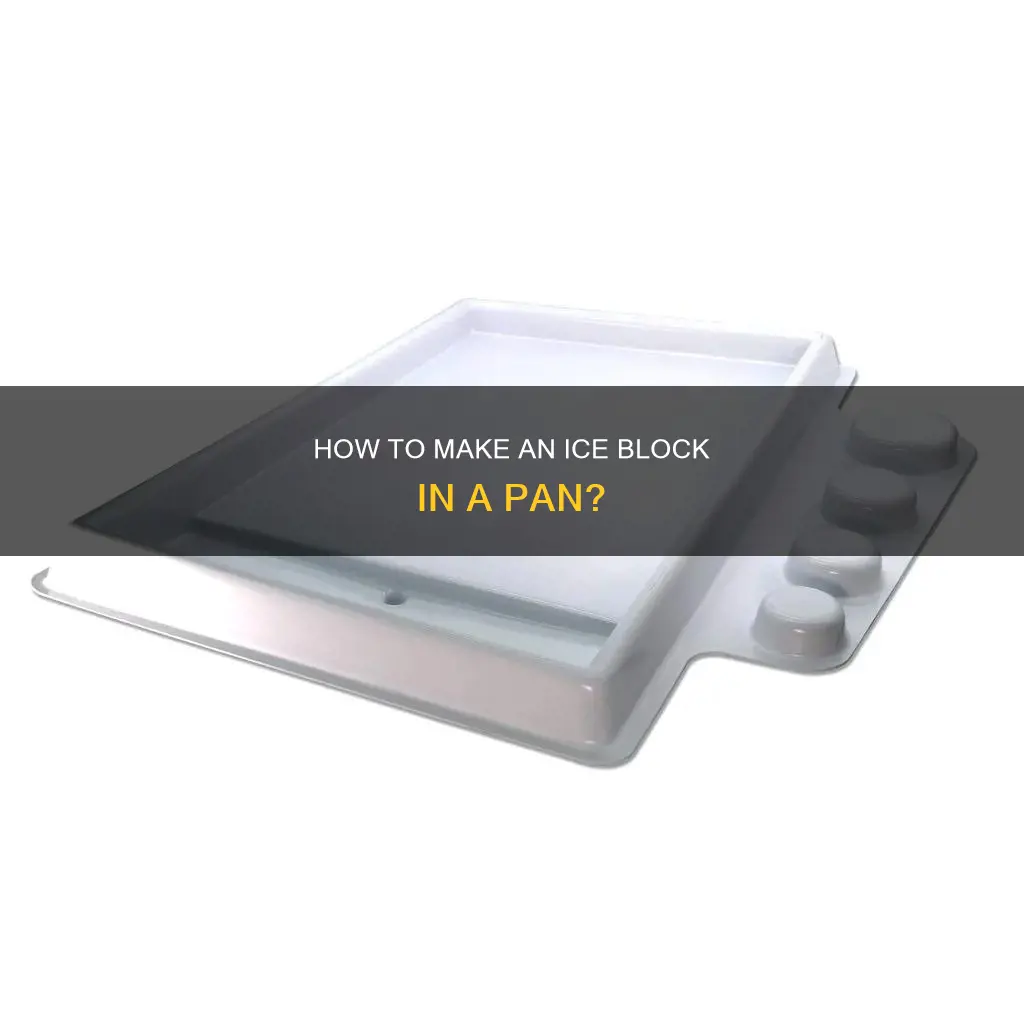can you make an ice block in a pan