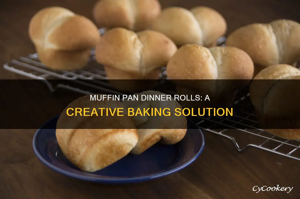 can you make any dinner rolls in a muffin pan