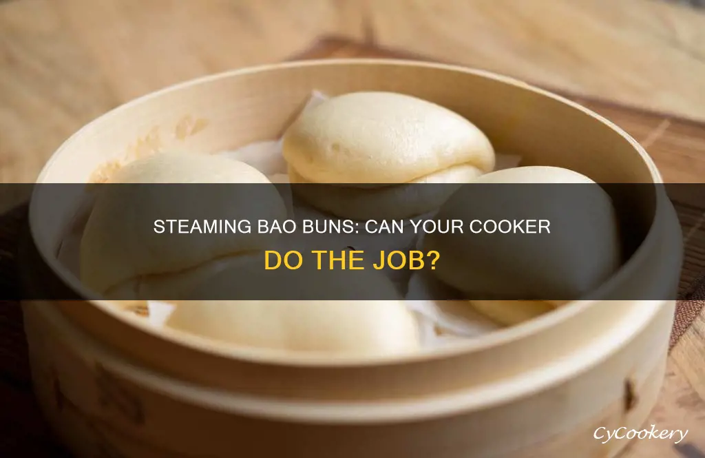 can you make bao buns in a steam cooker