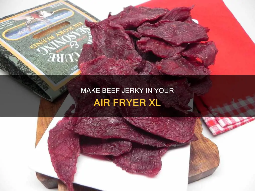 can you make beef jerkey in air fryer xl