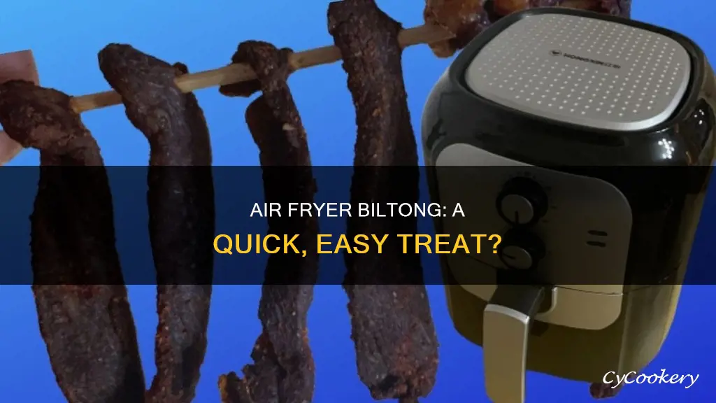 can you make biltong in an air fryer