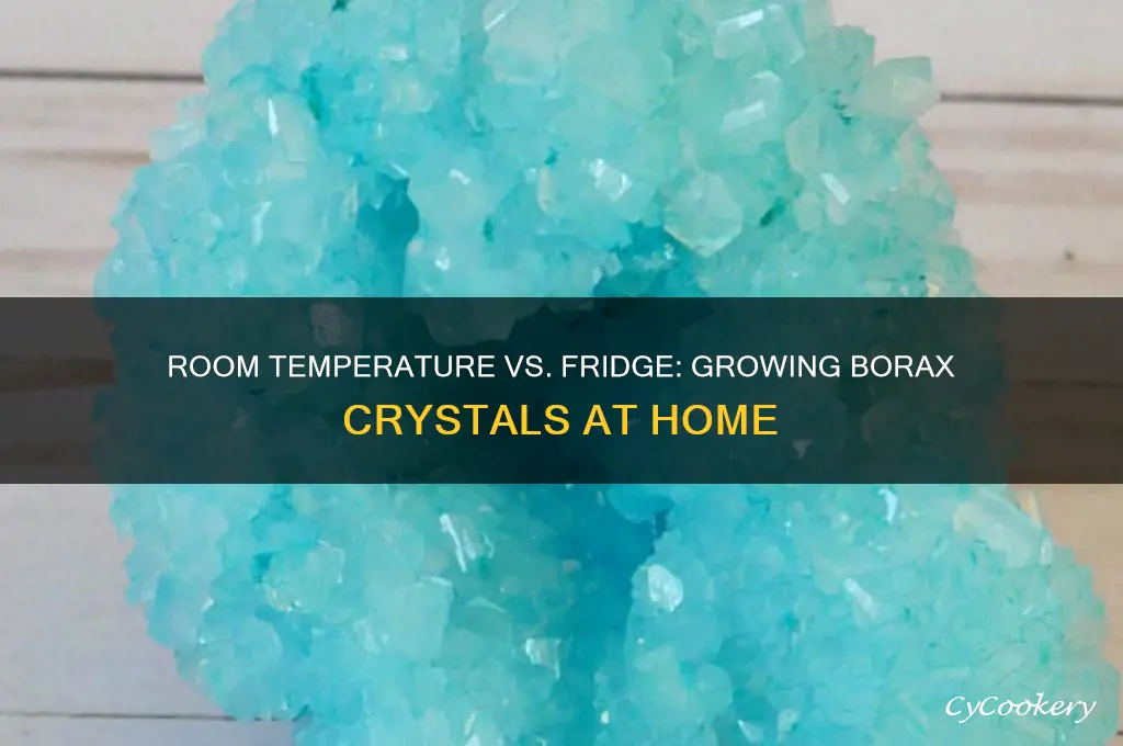 can you make borax crystals in room temperature or refrigerator