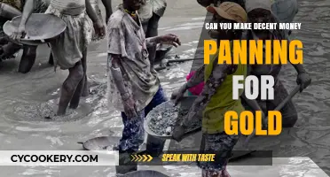 Panning for Gold: A Realistic Money-Making Venture?