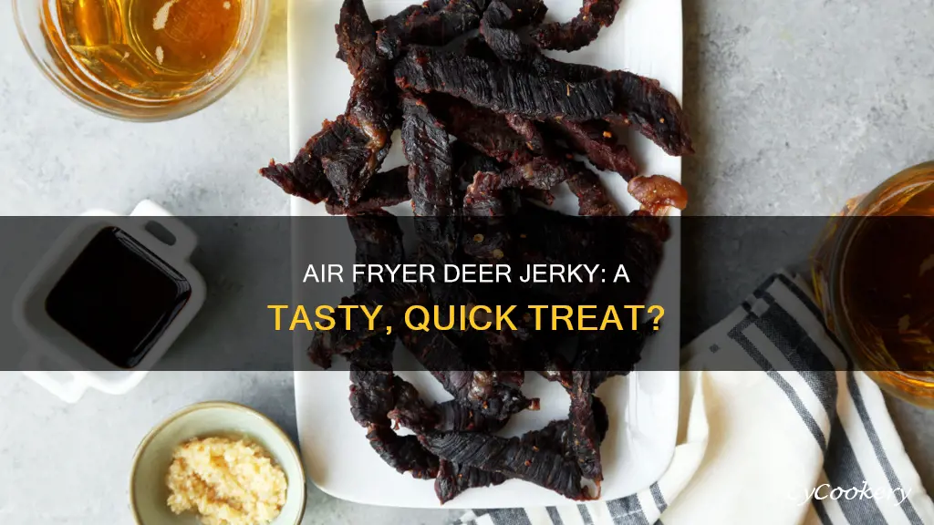 can you make deer jerky in a air fryer