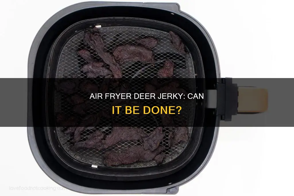 can you make deer jerky in an air fryer