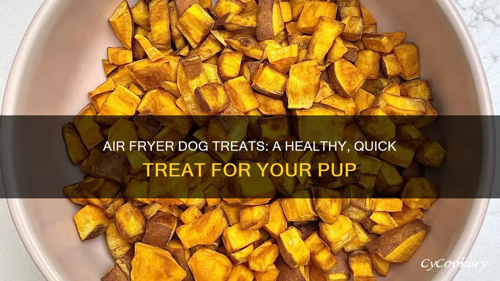 can you make dog treats in an air fryer