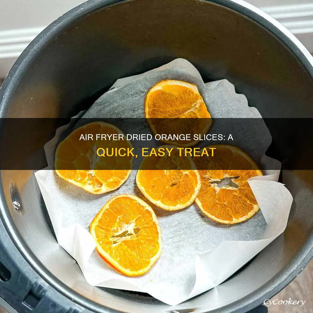 can you make dried orange slices in air fryer