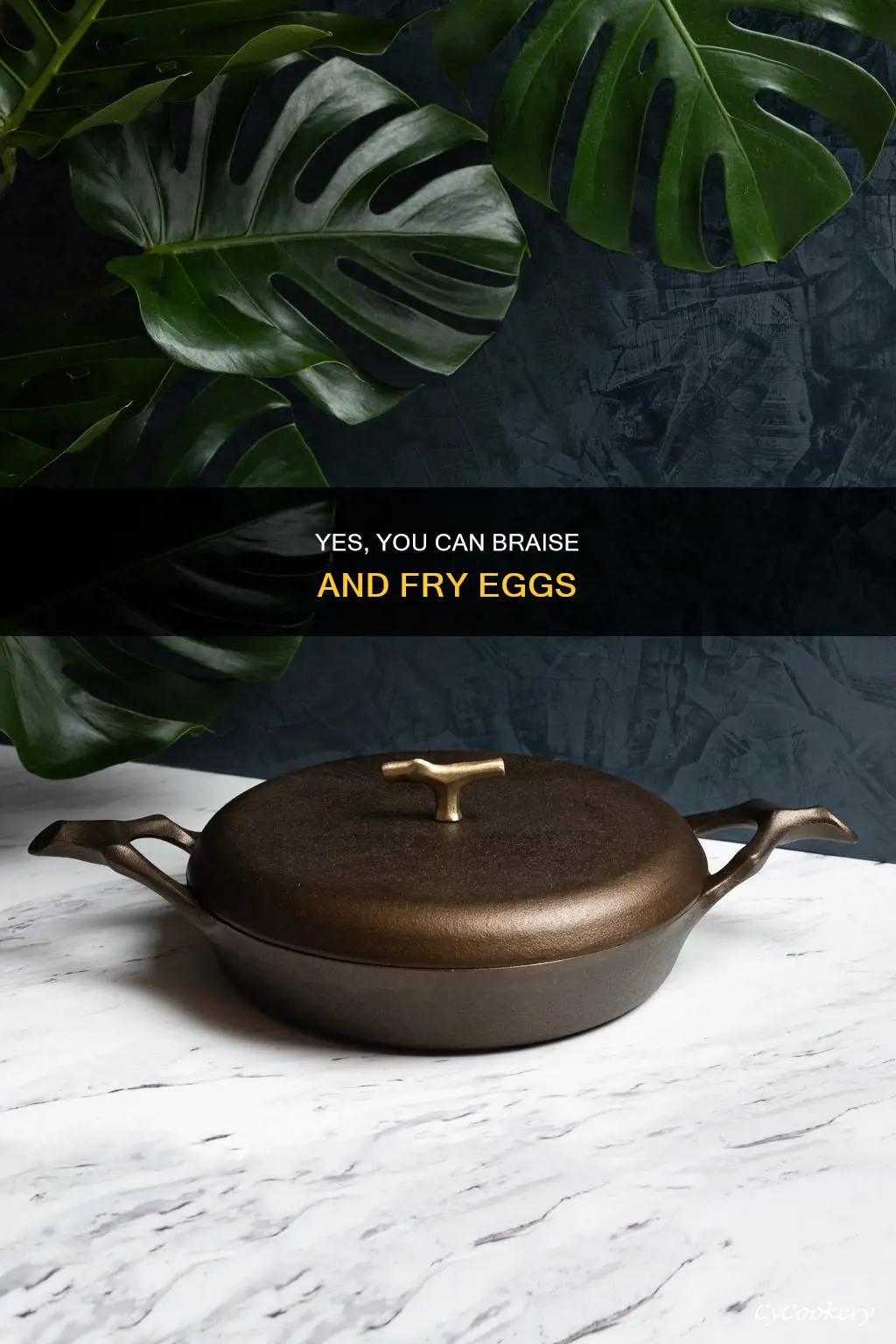 can you make eggs in a braiseris a braiser pan