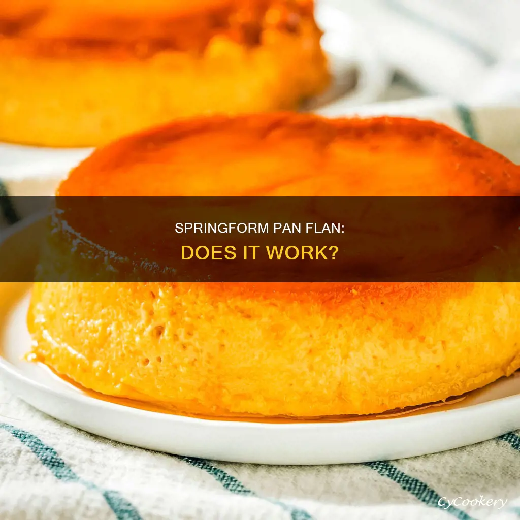 can you make flan in a springform pan