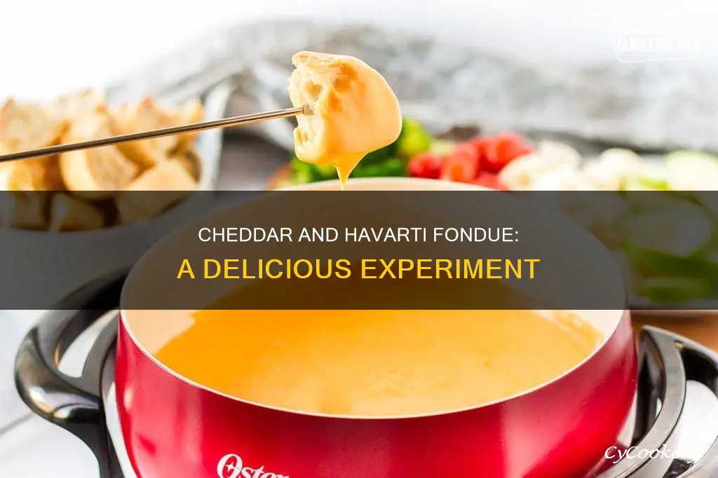 can you make fondue with cheddar and havarti